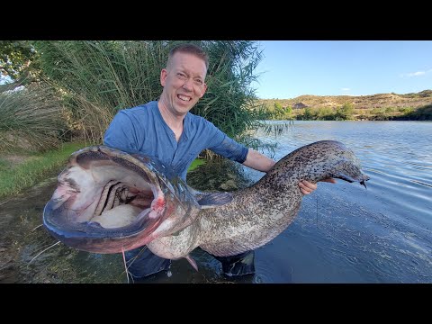 6 Days Fishing, Camping & Exploring Spain with my Son