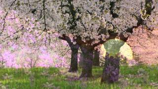 Nag-iisang Ikaw by Louie Heredia