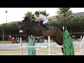 Malvara PS 8yr Mare Messenger X Balou Du Rouet