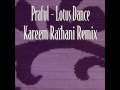 Praful - Lotus dance (Kareem Raïhani remix)