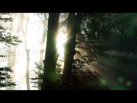 Michael McLean - He Looked Up (Lyric Video)