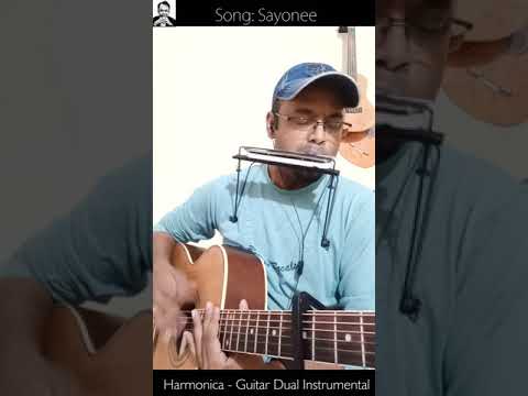 Sayonee ( Junoon ) - Harmonica - Guitar Instrumental by Parshuram