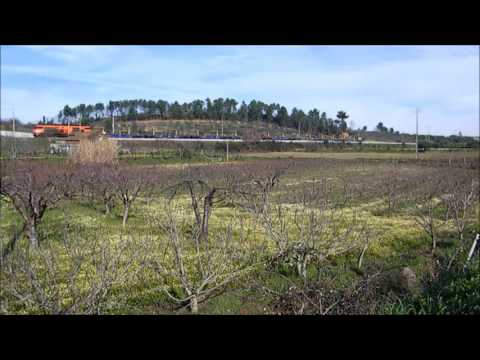 Comboio de Carril n.º 74351 - Alcaide