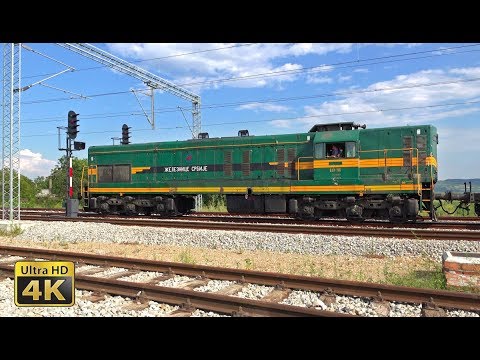 Rail traffic in Serbia - Belgrade - Pančevo - GM EMD Diesel locomotives (Krnjača, Ovča) [4K]