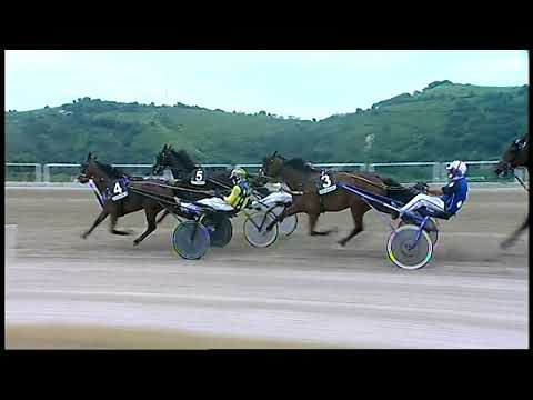 Napoli Trotto 05/06/2021 - 1ª corsa