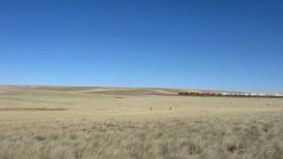 preview picture of video 'A Train Travels Across the Plains of Central New Mexico'
