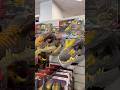 All The Jurassic World Rebirth Dino Masks