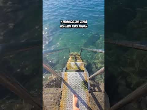 🌊 Have you ever swam on Anfi Island? 🏝 Paradise in the south of Gran Canaria!