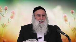 זיכרון עולם הבא ו חיזוק מספרי רבי נחמן מברסלב ו מאת הרב ברוך זרובבל (הרב ברוך זרובבל) - התמונה מוצגת ישירות מתוך אתר האינטרנט יוטיוב. זכויות היוצרים בתמונה שייכות ליוצרה. קישור קרדיט למקור התוכן נמצא בתוך דף הסרטון