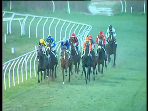 Galoppo 20/12/2017 - 5ª corsa