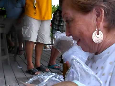 Affi, a dog's live in Belize 28: Halloween '09 Parade by Humane Society