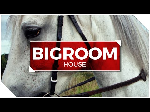 Firebeatz vs. Dannic & TV Noise vs. David Guetta & Vassy - Bad Solid Arsonist (Funbite Mashup)