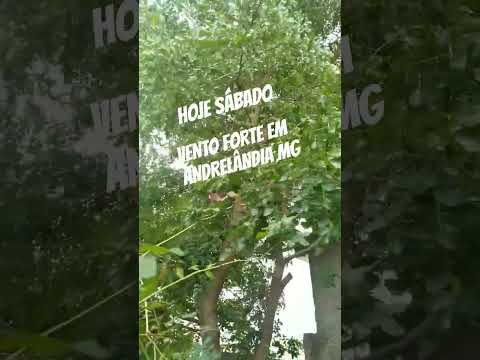 VENTO FORTE HOJE SÁBADO DIA 18 OUTUBRO DÁ UM MEDINHO #andrelandiamg #minasgerais  #climatempo #mgtv