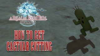 preview picture of video 'Final Fantasy XIV ARR - How to Get Cactuar Minion - Quest: Zombies Are People Too'