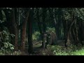 The Forests Of Kerala Kerala World S Greatest Place