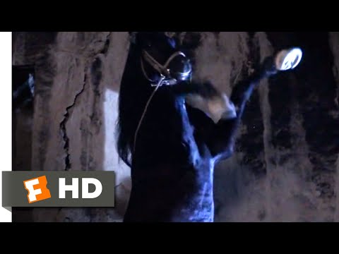 The Black Stallion Returns (1983) - The Black To The Rescue Scene (7/12) | Movieclips