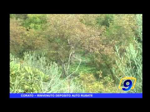 CORATO - ASCOLI SATRIANO  1-0 | Promozione Pugliese Gir. A