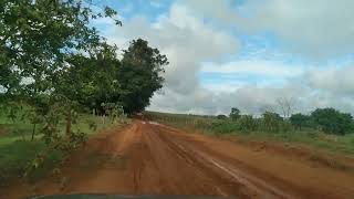 dirigindo na  estra entre os verdes pastos