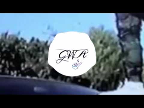 Bones - Biodegradable