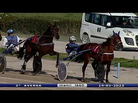 Aversa trotto 14 Gennaio 2023 - 2° Corsa
