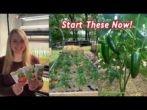 February Planting: Top Pepper Varieties for Seed Starting