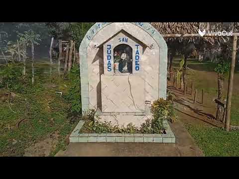 SALTÓ LAS PALMAS DE VERAGUAS ,PANAMÁ 🇵🇦🇵🇦🇵🇦