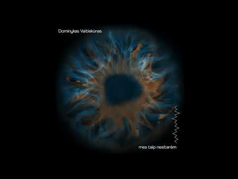 Dominykas Vaitiekūnas and MES TAIP NESITARĖM
