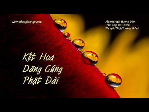 Kết hoa dâng cúng Phật Đài