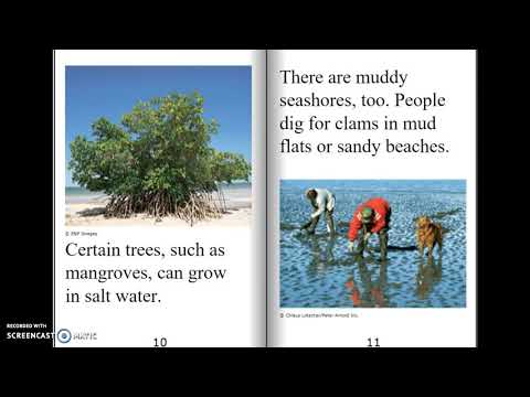 Seaside: Where Land Meets Sea | Vibepedia