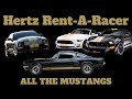 The History Of Shelby Hertz Rent A Racer Mustangs