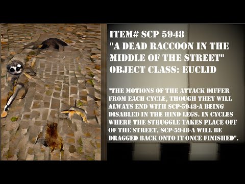 SCP 5948 - A Dead Raccοοn in the Middle of the Street