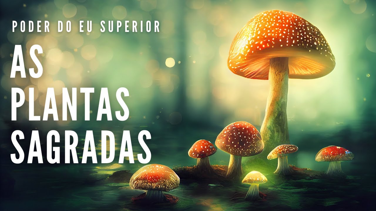 Guias espirituais parte 4 | AS PLANTAS SAGRADAS