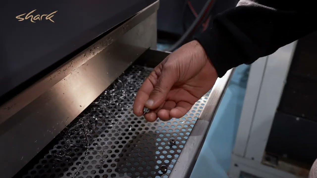 Shark Production video