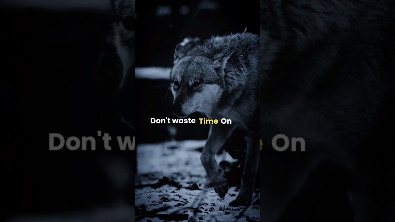 Sigma Rule 🔥 don't waste time on 🔥#motivation #shorts #motivationalquotes