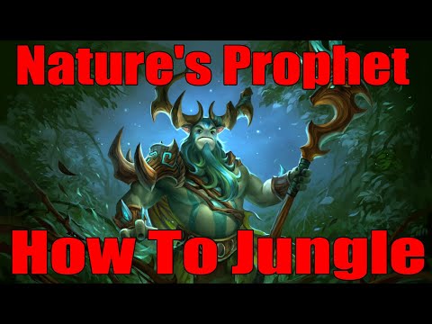 DoTa 2 Nature's Prophet iRG How to jungle Patch 7.29
