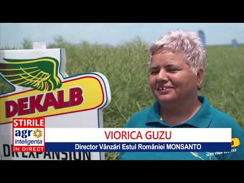 Ziua Rapiței DEKALB în ferma lui Vasile Pop-Silaghi din Girov-Neamț