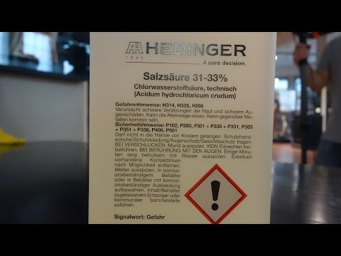 Stomach - Digestion | alpha Learning explains biology