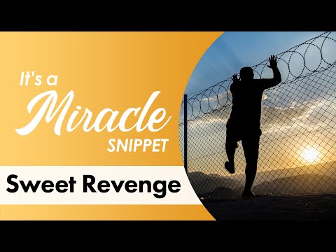 Sweet Revenge - It's a Miracle