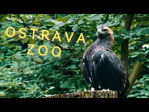Ostrava ZOO - Czech Republic