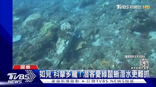 [問卦] 綠鬣蜥會潛水耶 修喊啦