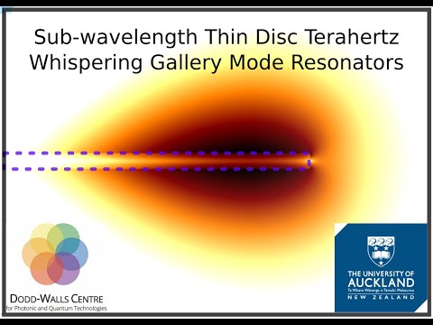 Terahertz whispering gallery modes in thin disc resonators