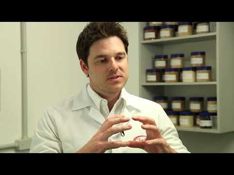 Você sabia? Como é feito o óleo de linhaça