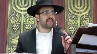 הרב מאיר אליהו | פרשת חקת | משכן יהודה - ה'תשע"ז (הרב מאיר אליהו) - התמונה מוצגת ישירות מתוך אתר האינטרנט יוטיוב. זכויות היוצרים בתמונה שייכות ליוצרה. קישור קרדיט למקור התוכן נמצא בתוך דף הסרטון