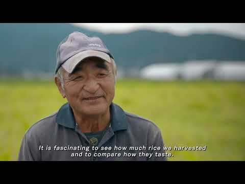 【新潟シティチャンネル】NIIGATA RICE　生産編　「日本一の米どころ新潟が贈るプレミアムライス」【英語版】