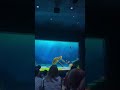 What S Your Favourite Human Food Of All Time Video By Katiedevonnn