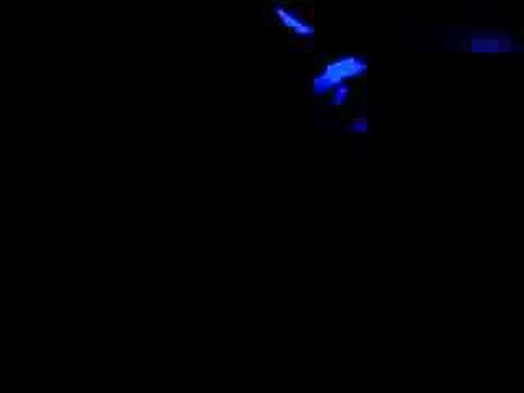 Erick Morillo @ Zoo Club 9 (10-8-06) - The End
