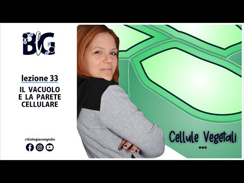 Il VACUOLO e la PARETE CELLULARE