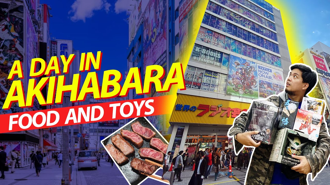 Explore Akihabara with an insider's guide shared by a seasoned traveler.
