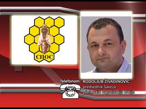 FONO:  Rodoljub Živadinović - Pčelarstvo u Srbiji