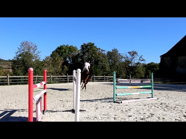 Top 6 ans pour amateur ambitieux 
